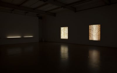 Daniel Nave – Primeira exposição individual na Galeria Filomena Soares