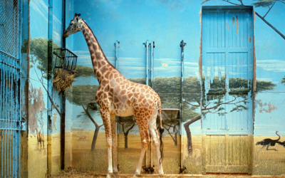 Kiluanji Kia Henda | Turner Contemporary