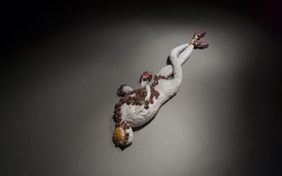 Sara Bichão | Current Exhibitions