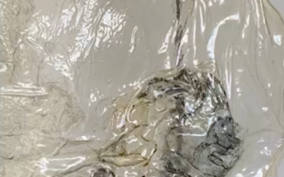 ANDREIA SANTANA | Unfurled, Thomas Erben Gallery, New York