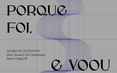 ANDREIA SANTANA | Só porque foi, e voou, Museu Nacional de Arte Contemporânea, Lisboa