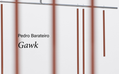 PEDRO BARATEIRO | Gawk, Carpintarias de São Lázaro, Lisboa