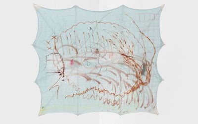 Notas de Rodapé | With the participation of Sara Bichão